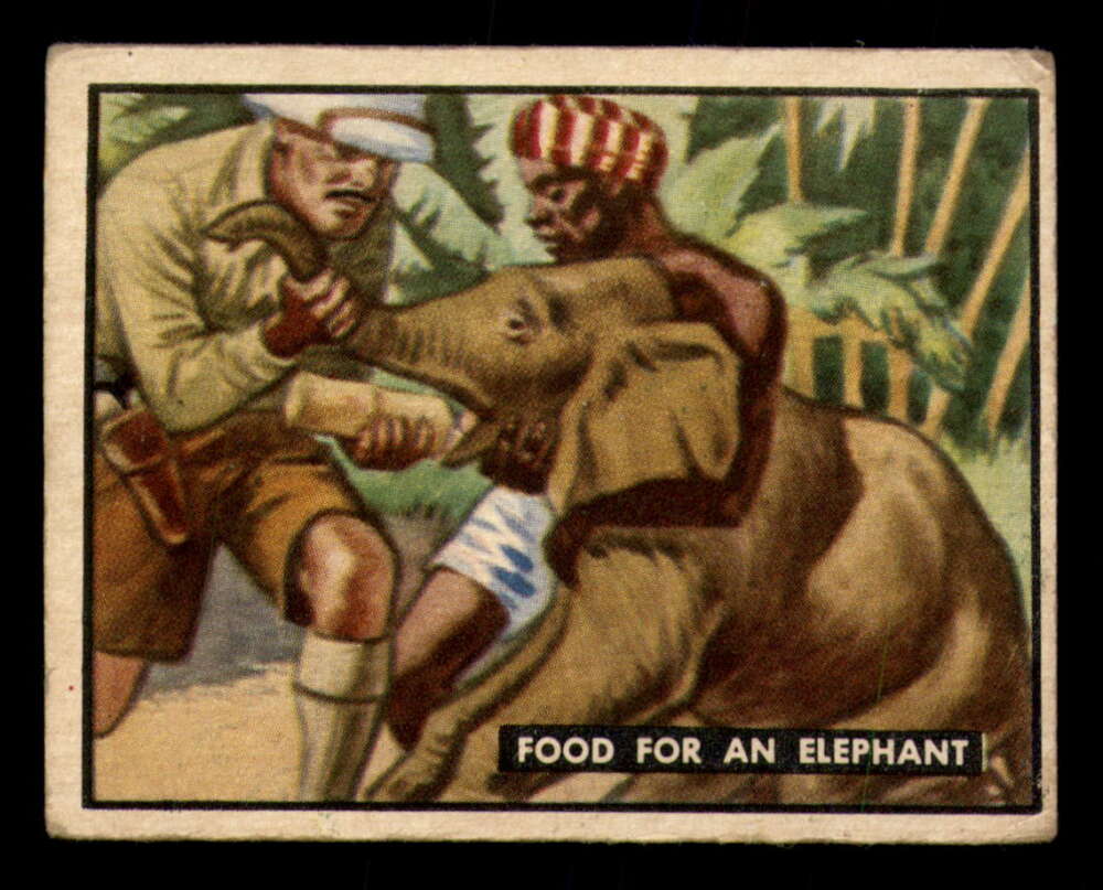 50TBBA 65 Food For An Elephant.jpg